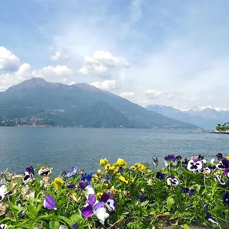 Confort * Bellagio